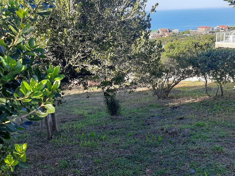 0 Bedroom Property for Sale in Tergniet Western Cape